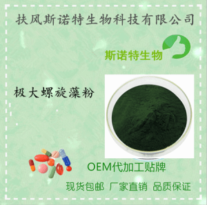 极大螺旋藻