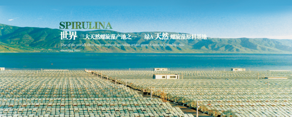 螺旋藻营养医学论坛 产学研融合开启产业进阶之路