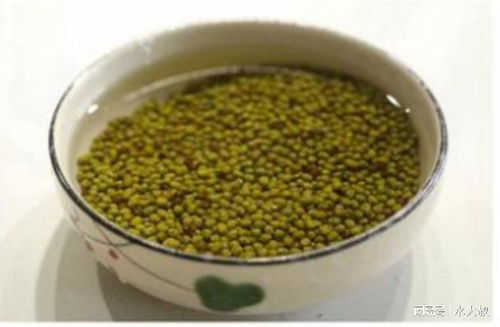 三伏天胃口不佳？天然螺旋藻助你清凉一夏